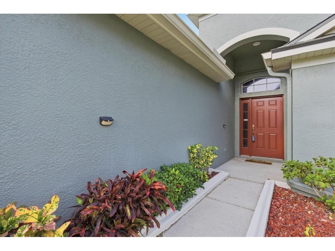 2743 Big Pine Drive Holiday FL 34691 TB8446766 image4