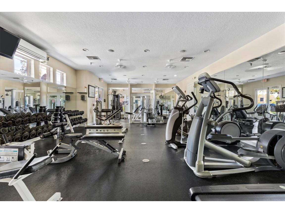 2743 Big Pine Drive Holiday FL 34691 TB8446766 image41