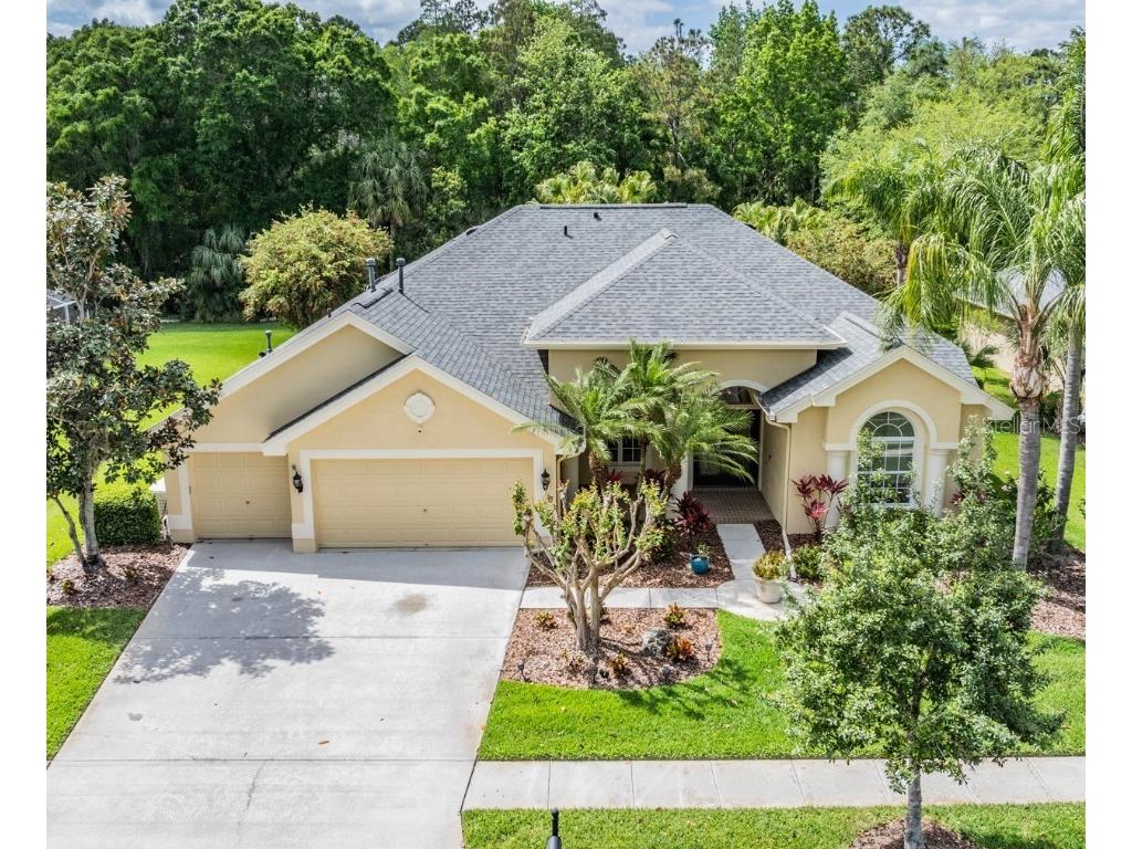 2743 Blue Springs Place Wesley Chapel FL 33544 T3514161 image1