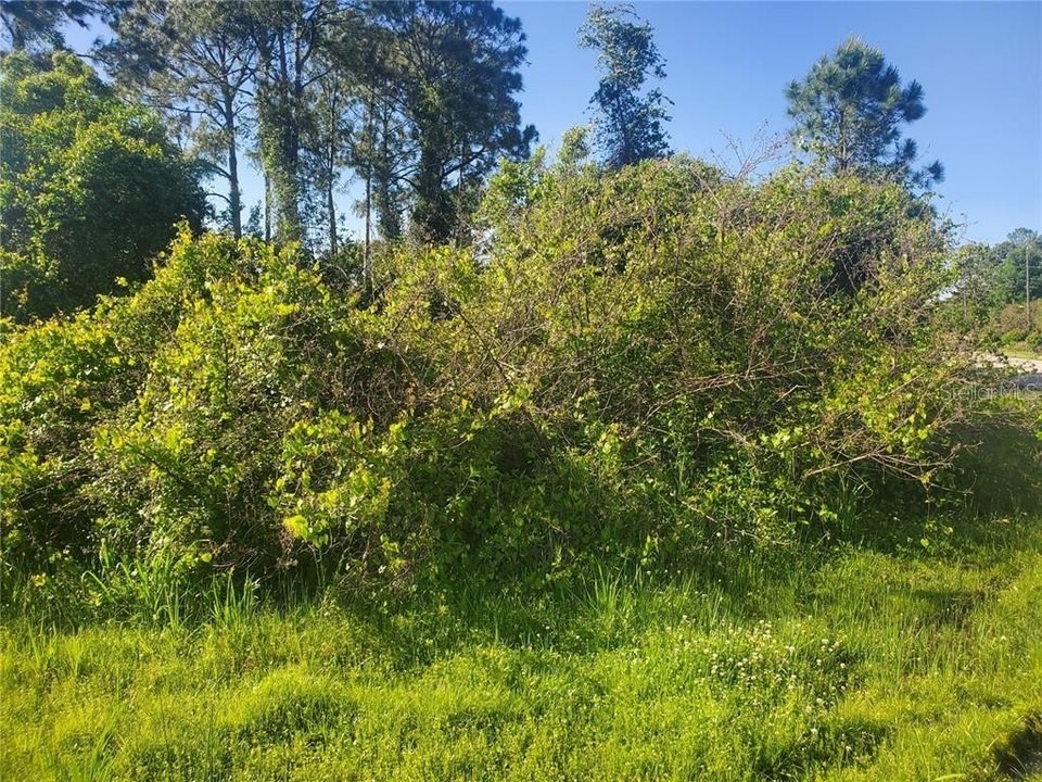 2743 Flynn Street Deltona FL 32738 O6093002 image1