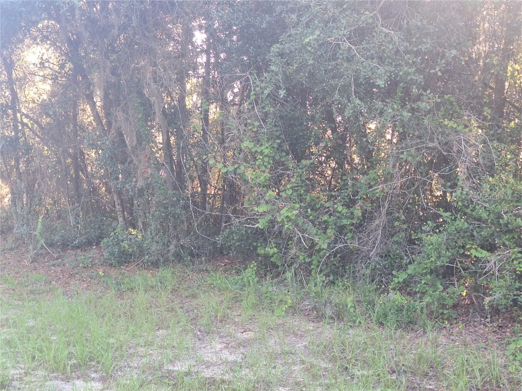 2743 Kingsdale Drive Deltona FL 32738 V4944119 image1