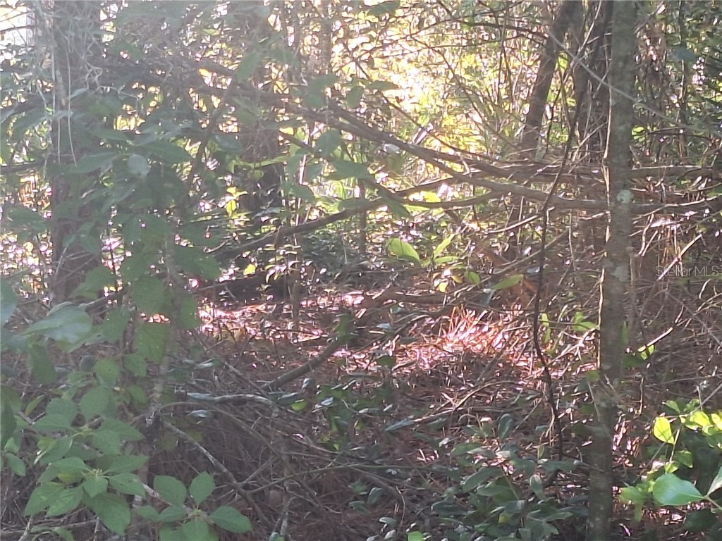 2743 Kingsdale Drive Deltona FL 32738 V4944119 image2