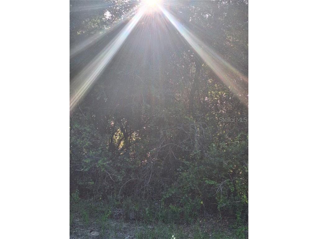 2743 Kingsdale Drive Deltona FL 32738 V4944119 image3