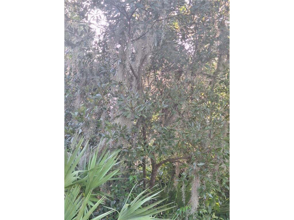 2743 Kingsdale Drive Deltona FL 32738 V4944119 image4