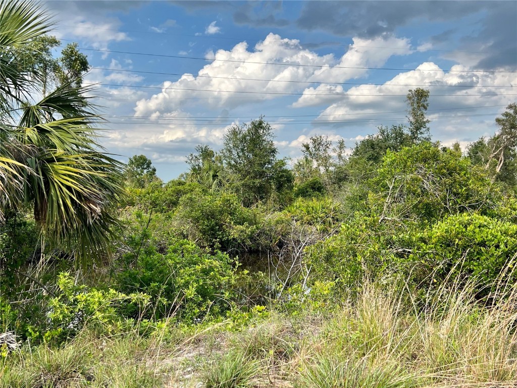 27430 San Marco Drive Punta Gorda FL 33983 C7492996 image2