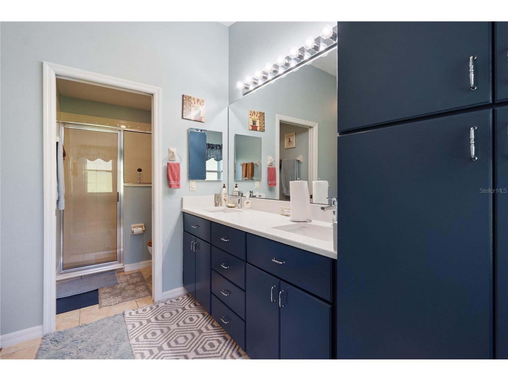 27437 Desert Rose Court Leesburg FL 34748 O6339748 image21