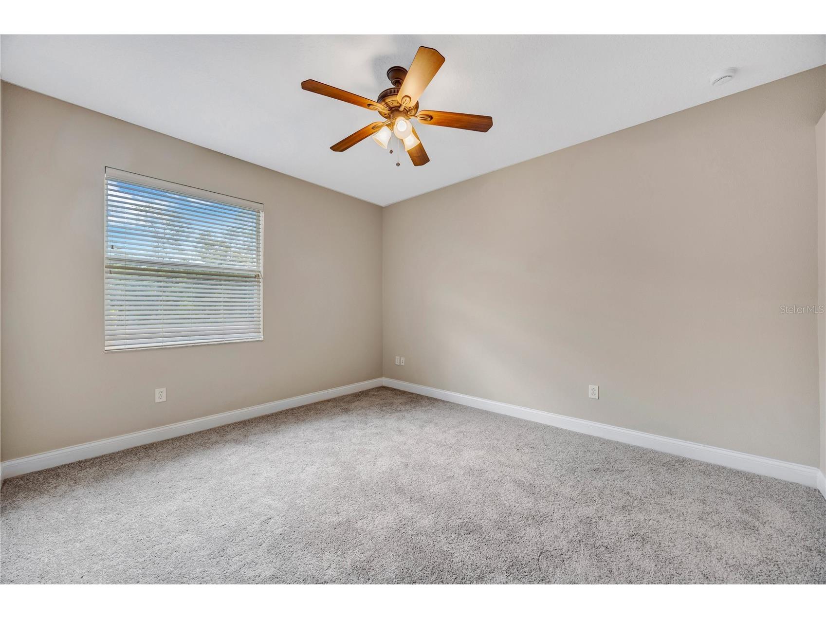 27438 Sora Boulevard Wesley Chapel FL 33544 TB8507090 image34
