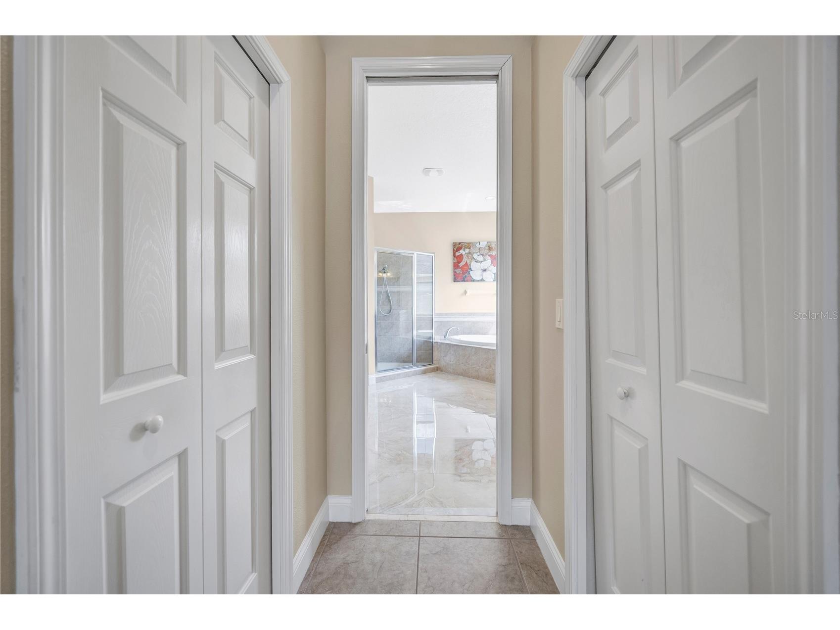 27438 Sora Boulevard Wesley Chapel FL 33544 TB8507090 image35