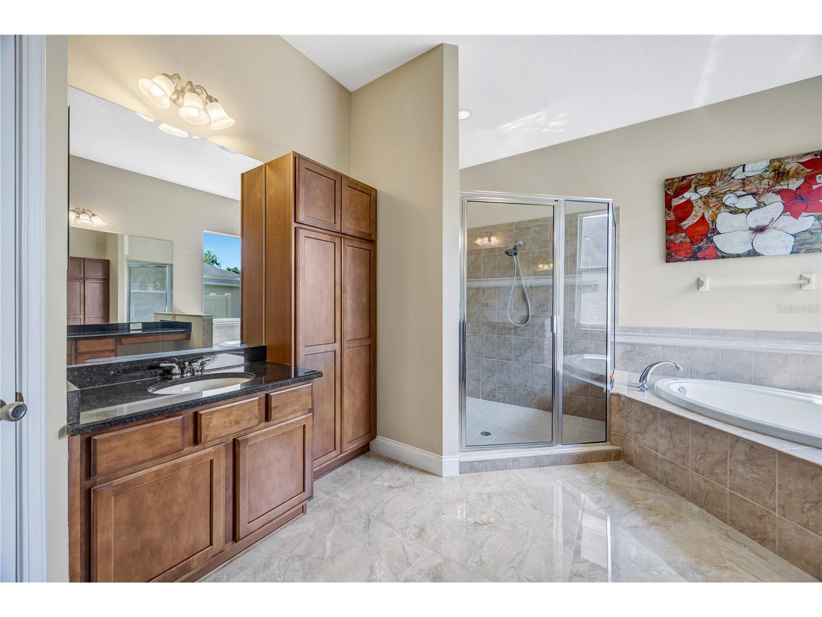 27438 Sora Boulevard Wesley Chapel FL 33544 TB8507090 image39