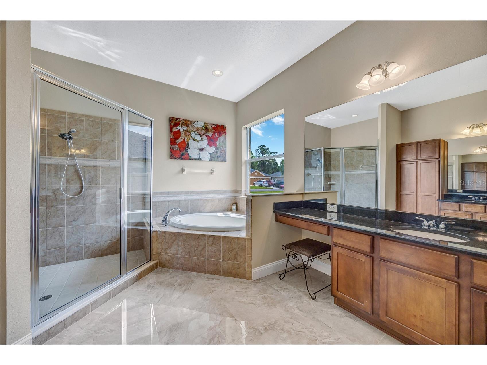 27438 Sora Boulevard Wesley Chapel FL 33544 TB8507090 image40