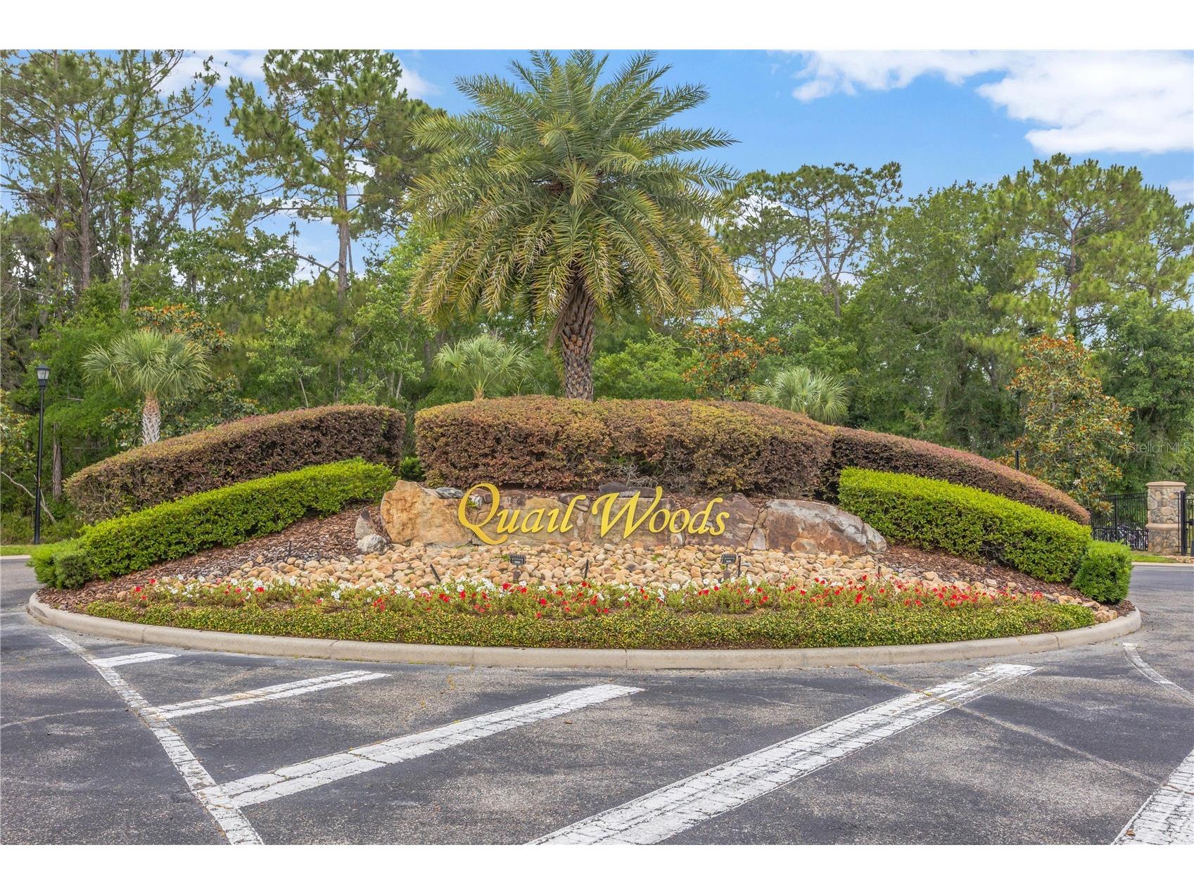 27438 Sora Boulevard Wesley Chapel FL 33544 TB8507090 image54