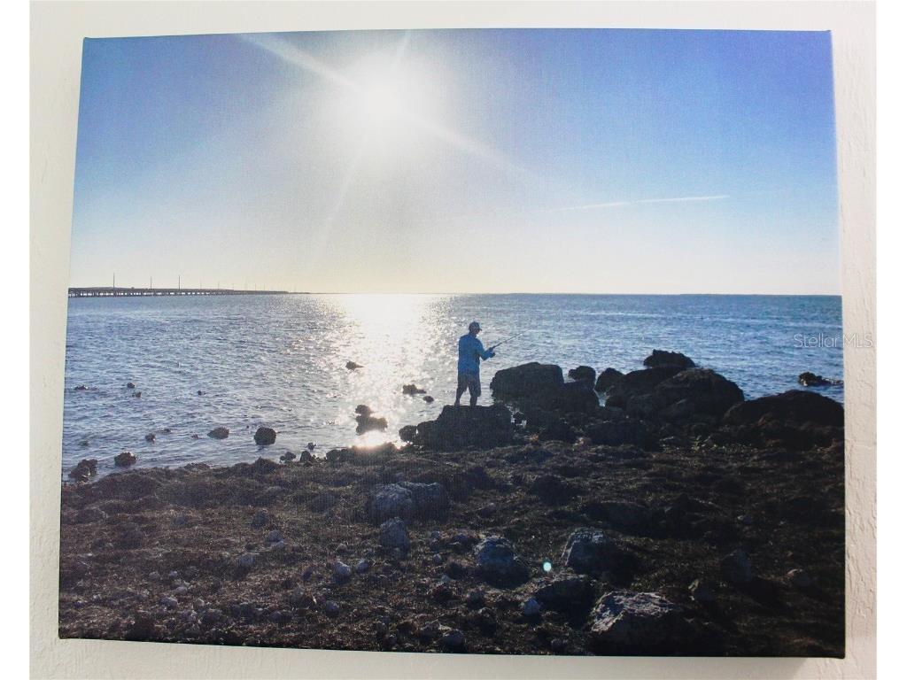 2744 Sanderling Court Saint James City FL 33956 - GULF OF AMERICA C7518800 image51