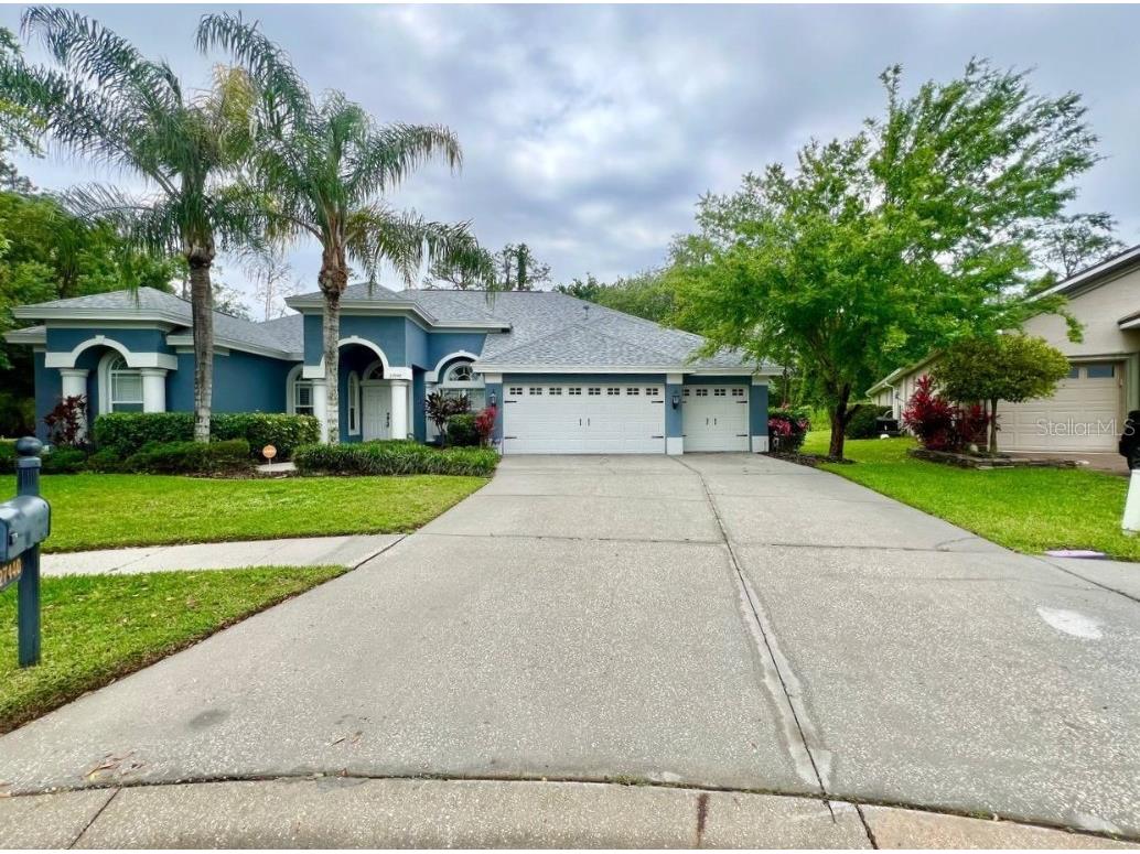 27440 Cedar Park Court Wesley Chapel FL 33544 T3513219 image1