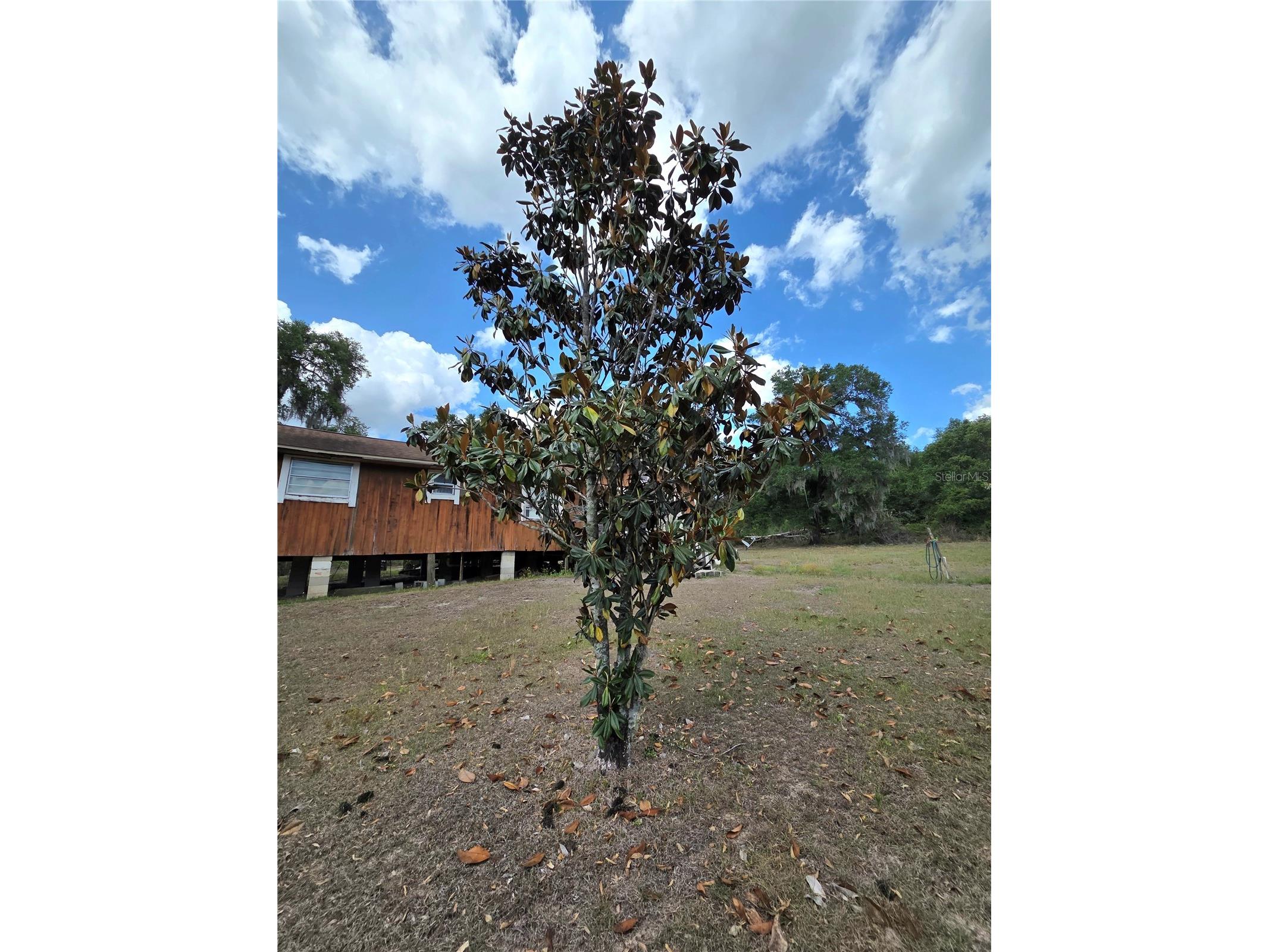 27440 Winchester Drive Brooksville FL 34602 TB8507066 image11