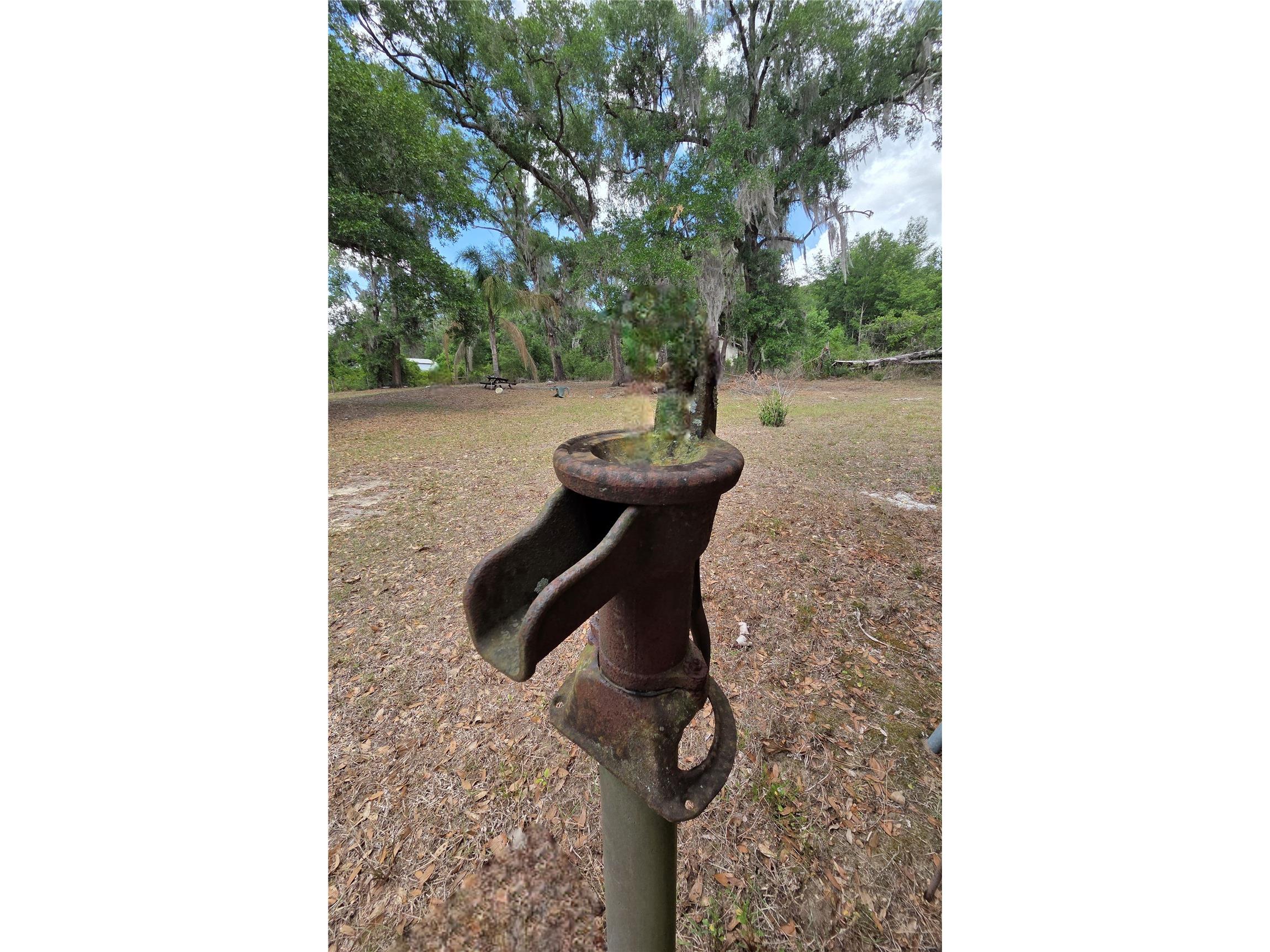 27440 Winchester Drive Brooksville FL 34602 TB8507066 image13