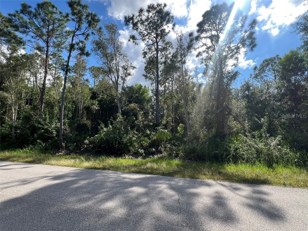 27443 N Twin Lakes Drive Punta Gorda FL 33955 TB8415827 image7