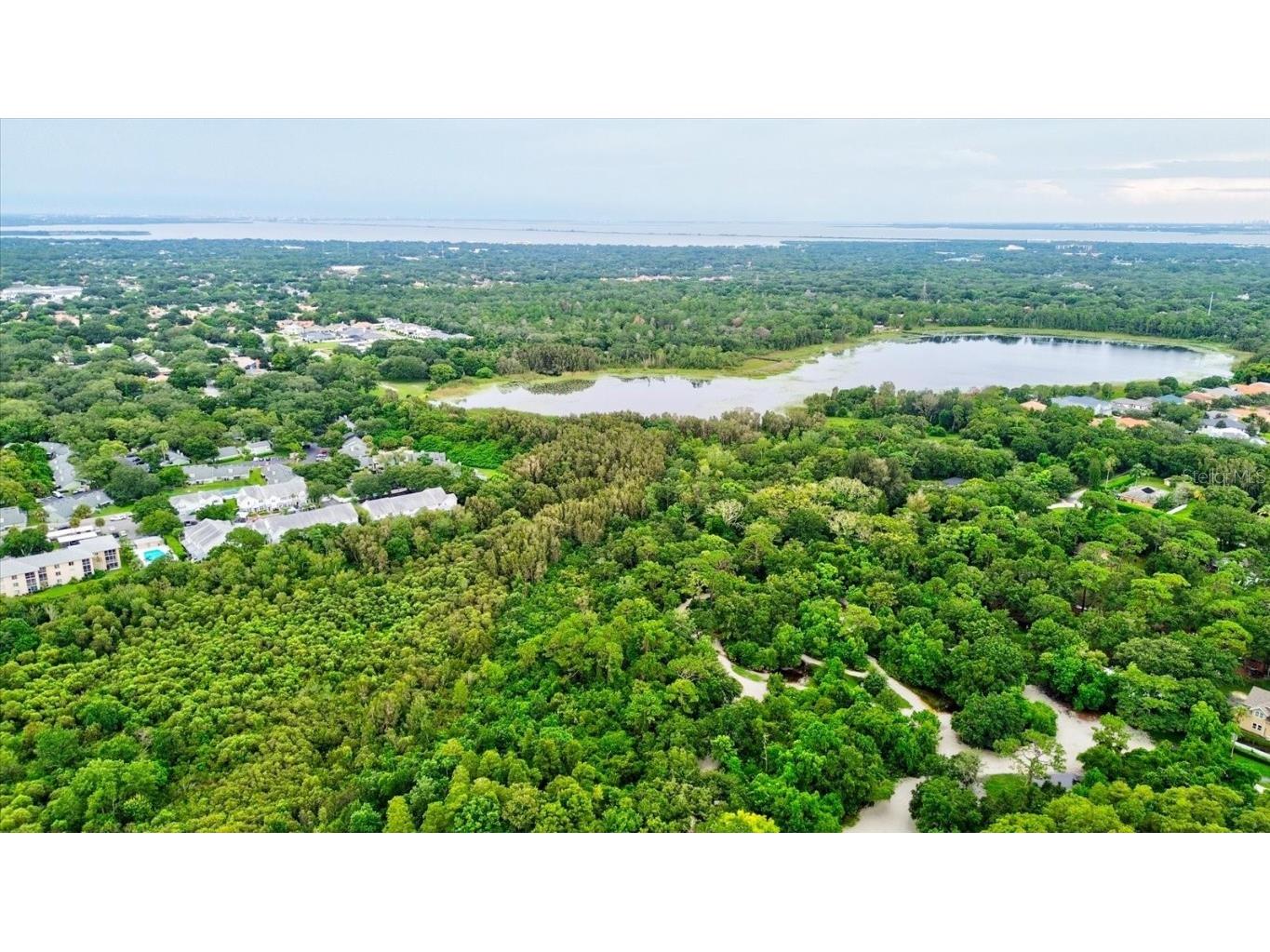 2745 Enterprise Road E #24 Clearwater FL 33759 U8250477 image74