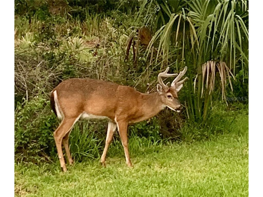 2745 Portadown Street Ormond Beach FL 32174 FC314143 image39