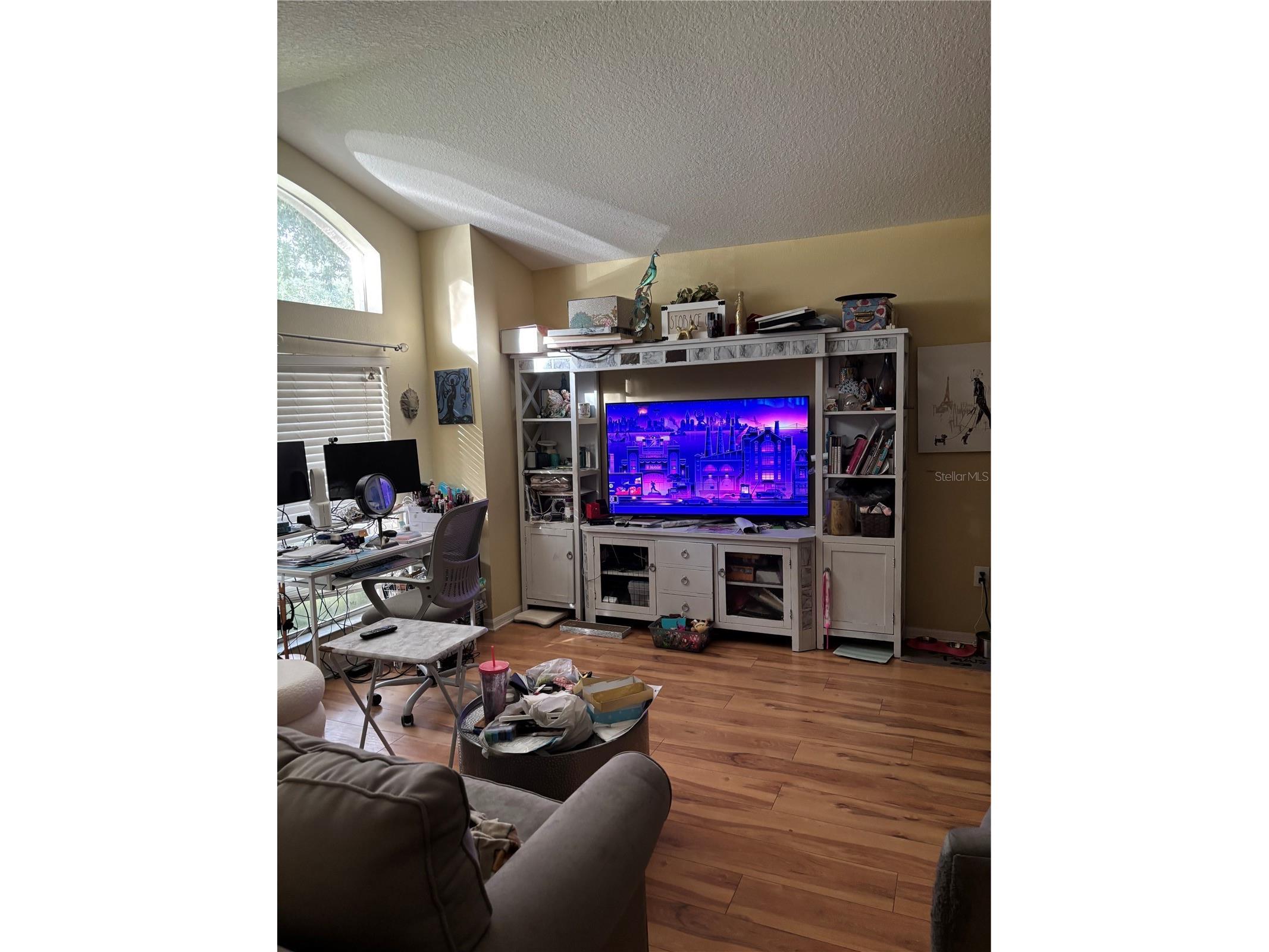 27450 Sugar Loaf Drive Wesley Chapel FL 33544 TB8528458 image10