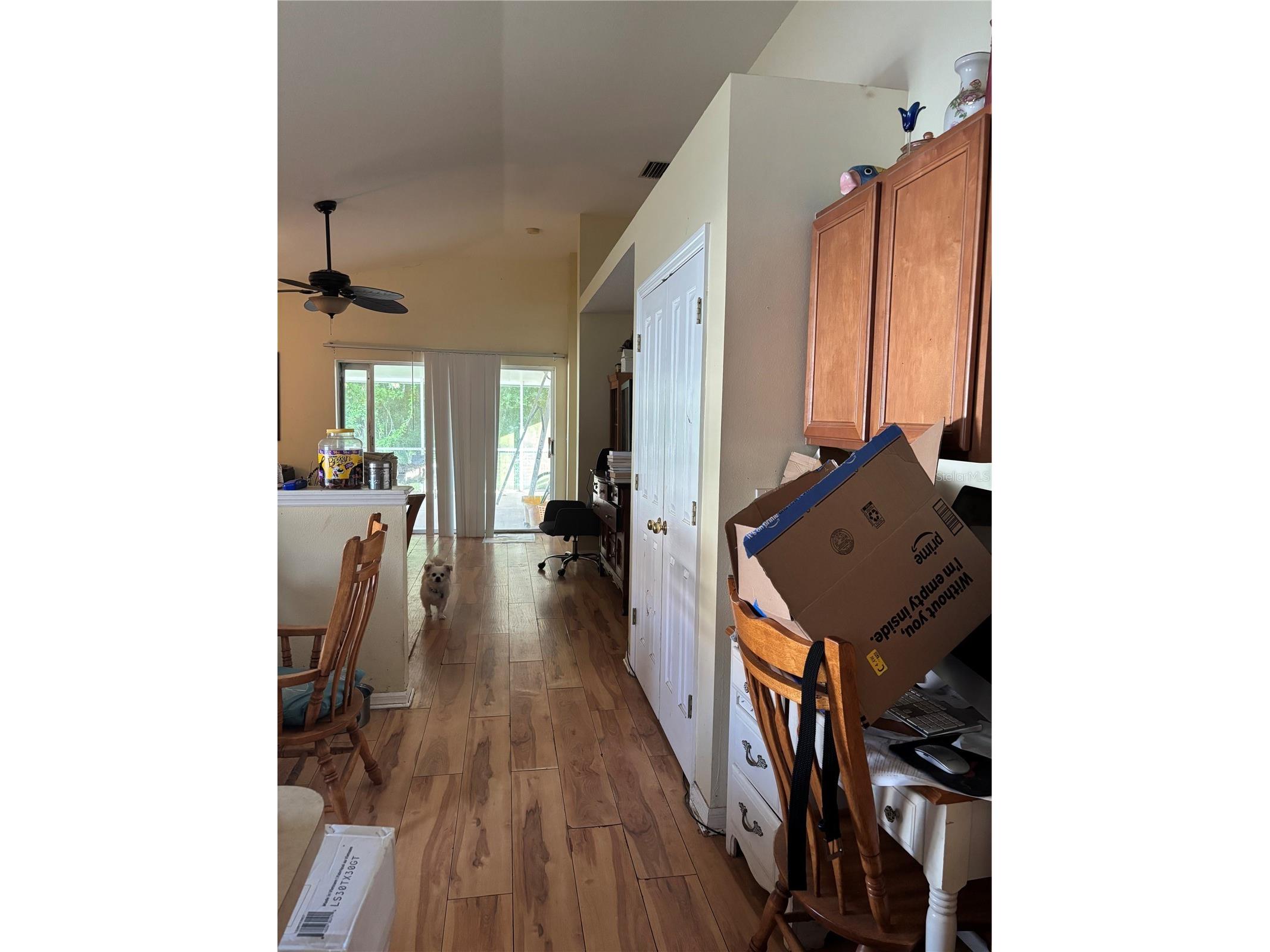 27450 Sugar Loaf Drive Wesley Chapel FL 33544 TB8528458 image11