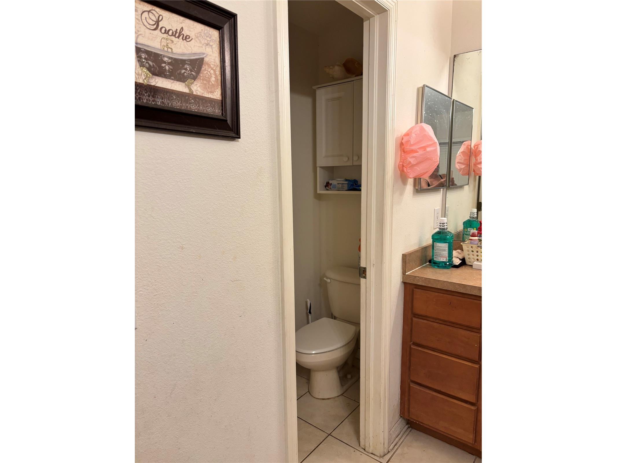 27450 Sugar Loaf Drive Wesley Chapel FL 33544 TB8528458 image4