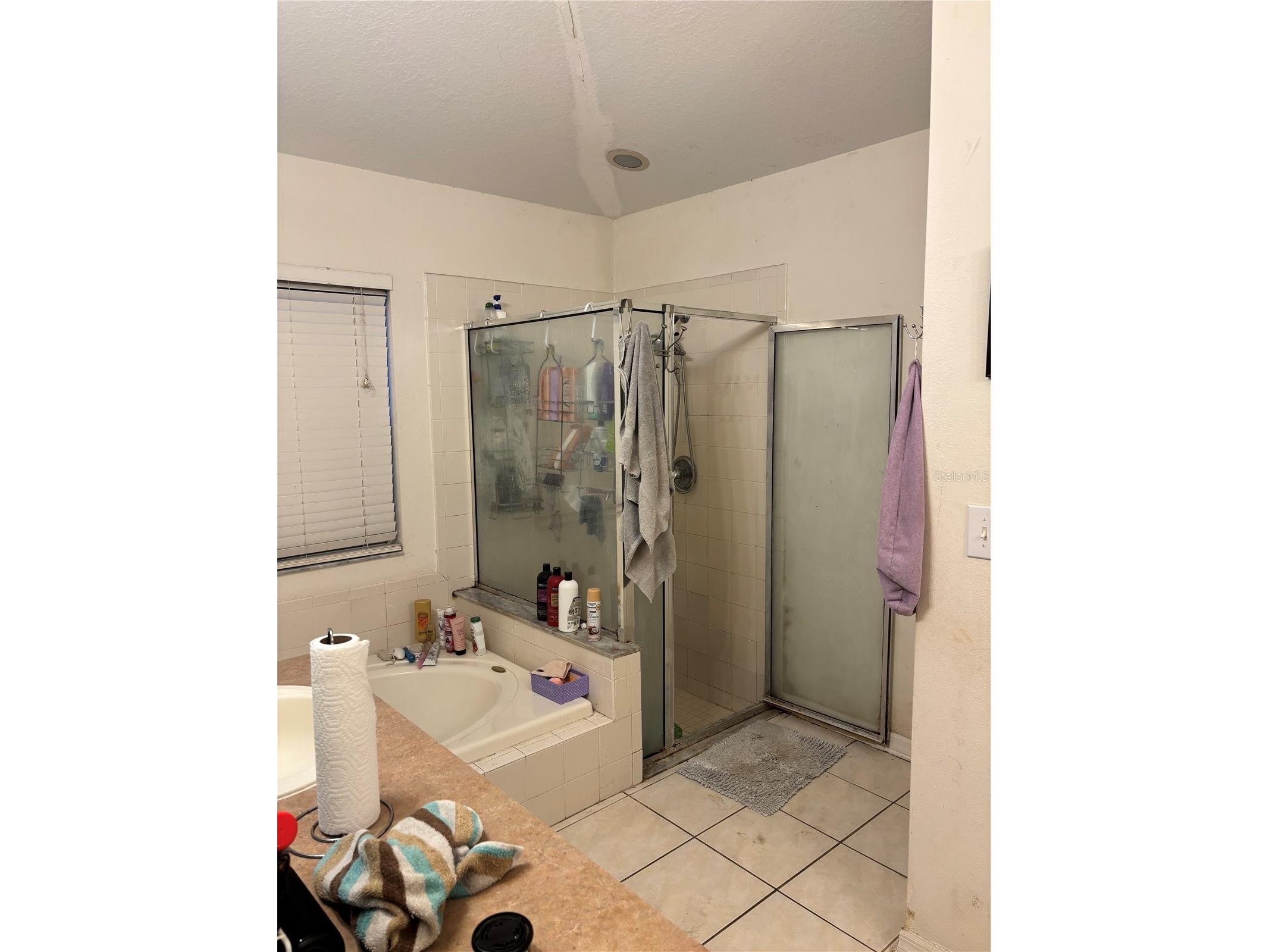 27450 Sugar Loaf Drive Wesley Chapel FL 33544 TB8528458 image6