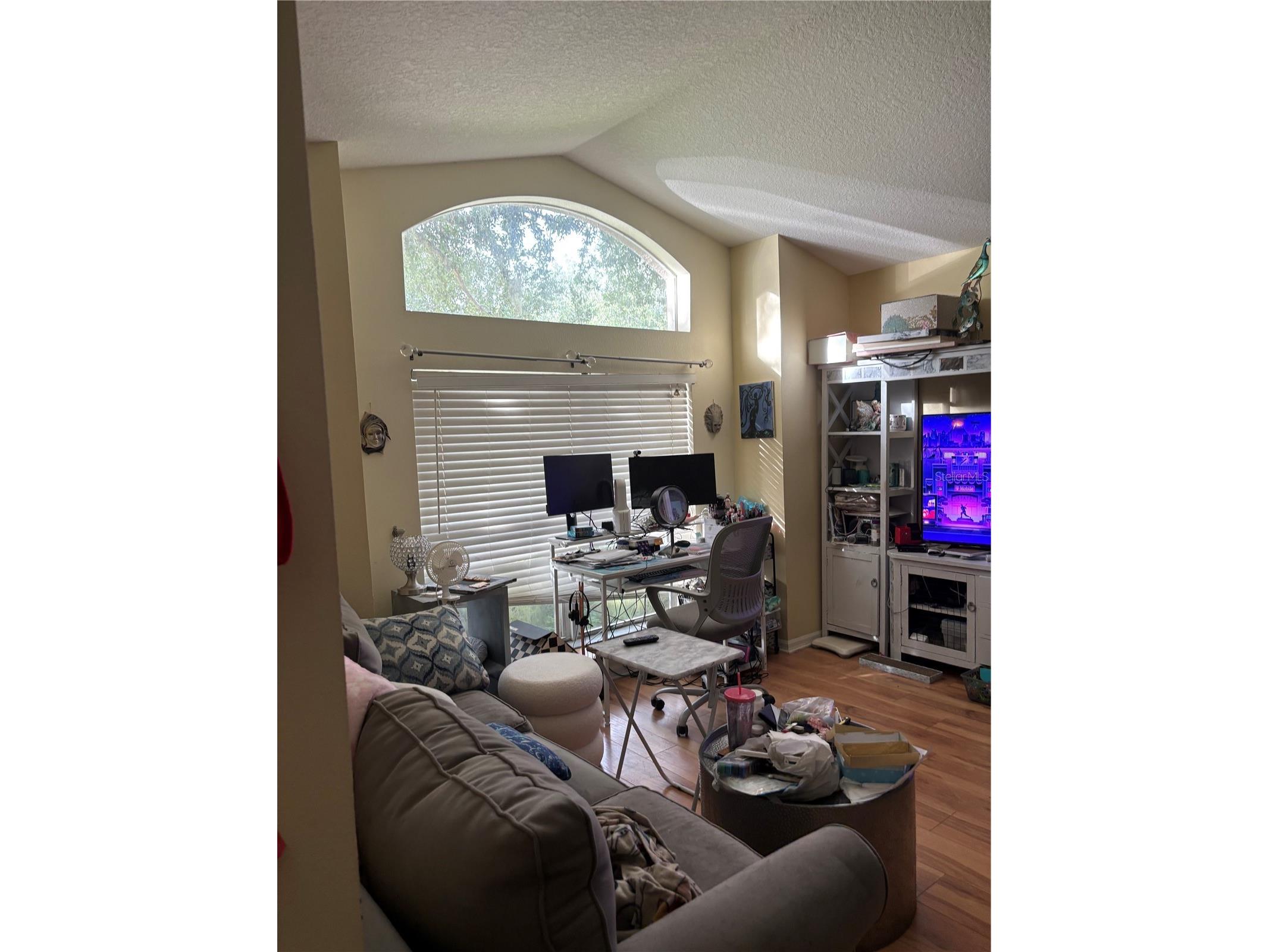 27450 Sugar Loaf Drive Wesley Chapel FL 33544 TB8528458 image9
