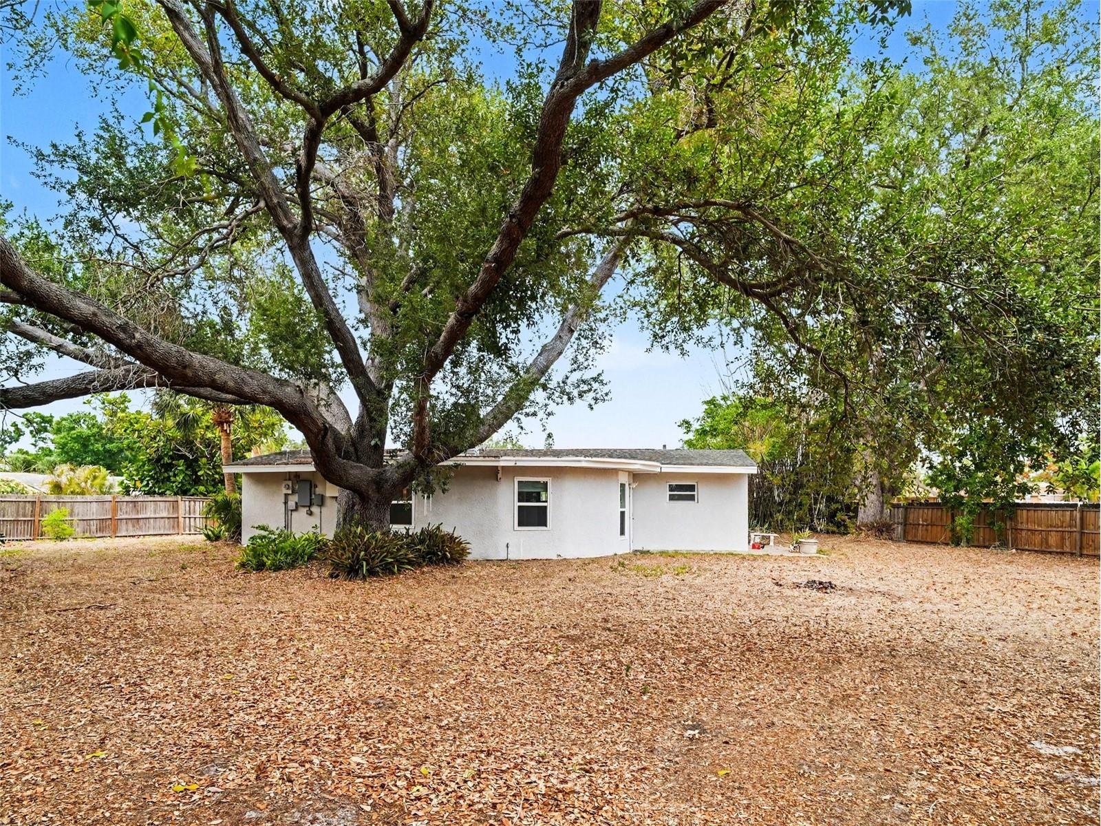 2746 Hibiscus Street Sarasota FL 34239 O6404525 image31