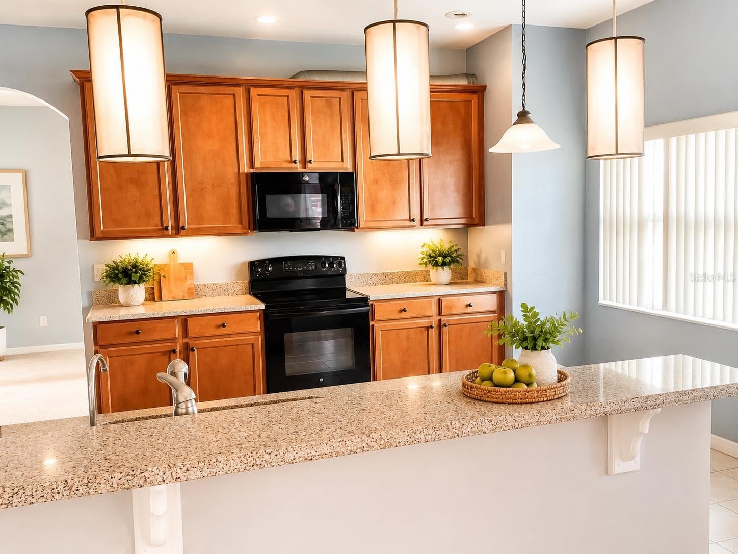 2746 Patrician Circle Kissimmee FL 34746 O6411446 image9