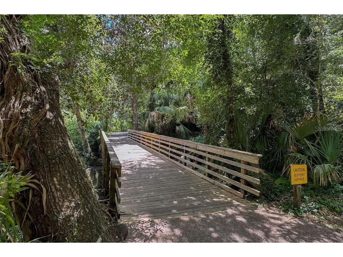 2746 SW 147th Court Ocala FL 34481 TB8380556 image31