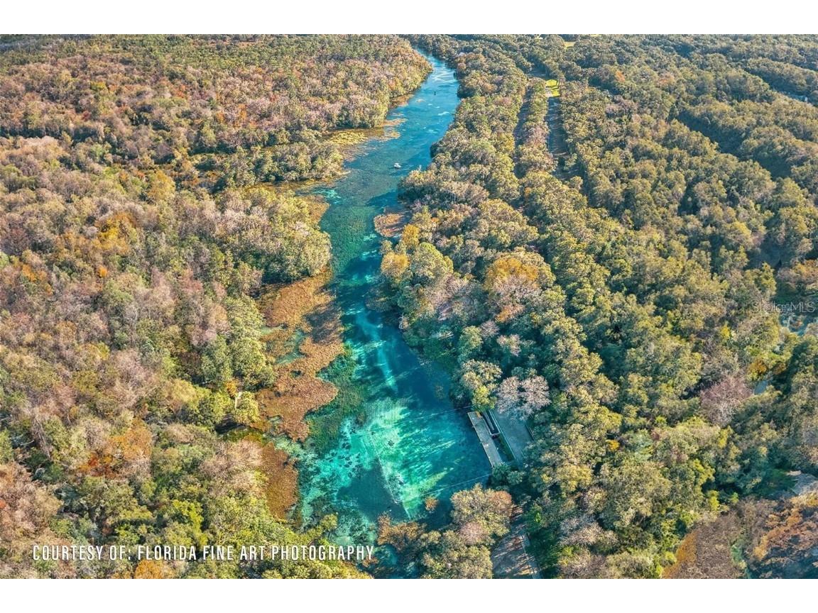 2746 SW 147th Court Ocala FL 34481 TB8380556 image33