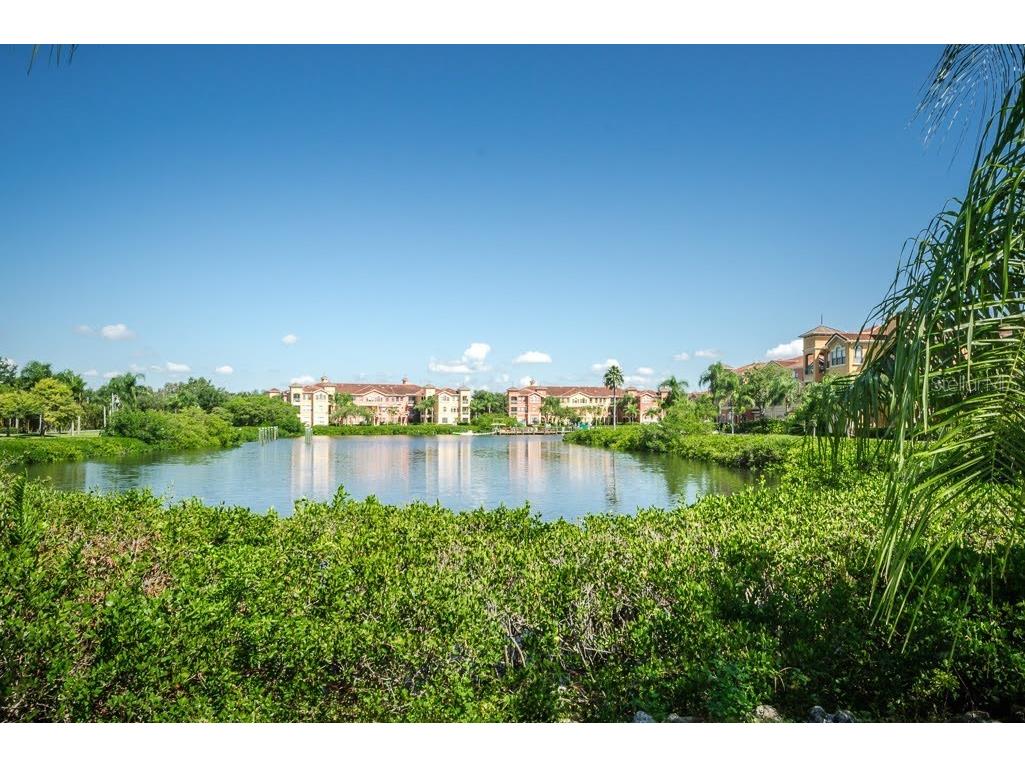 2746 Via Tivoli #132B Clearwater FL 33764 U8245944 image67