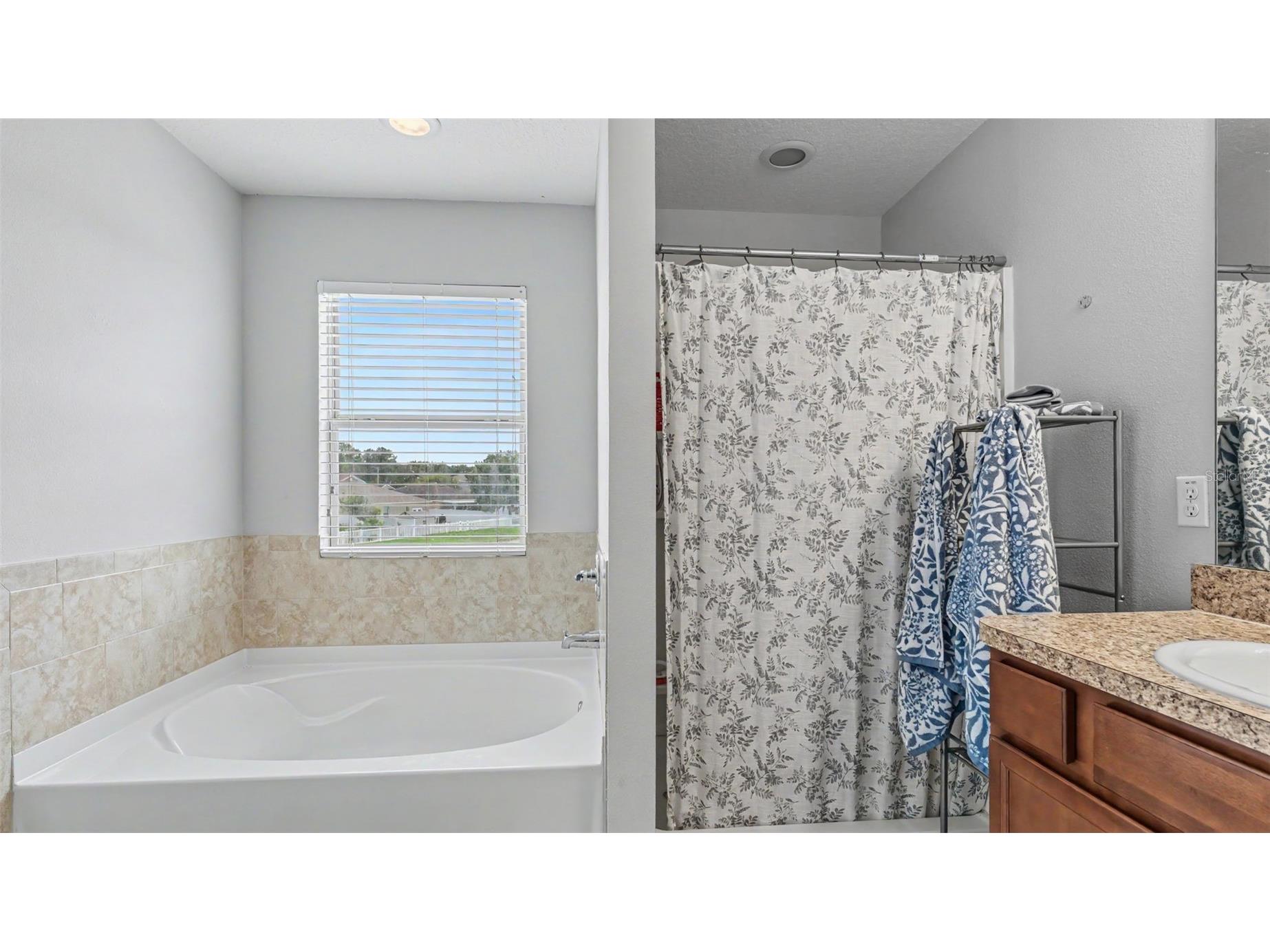 2746 Walden Woods Drive Plant City FL 33566 L4963361 image33