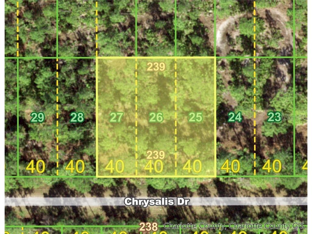 27466 Chrysalis Drive Punta Gorda FL 33955 C7472828 image1