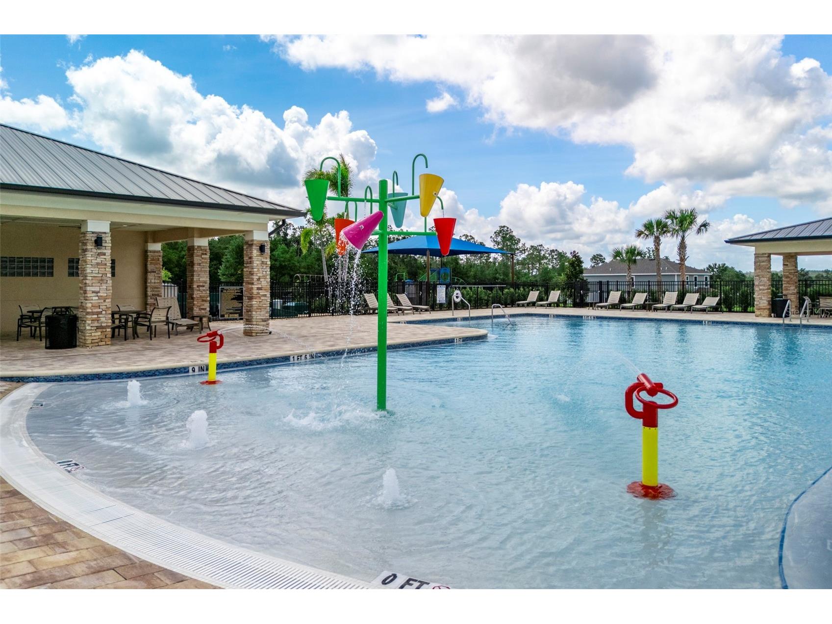 27468 Black Kite Avenue Howey In The Hills FL 34737 O6400419 image3
