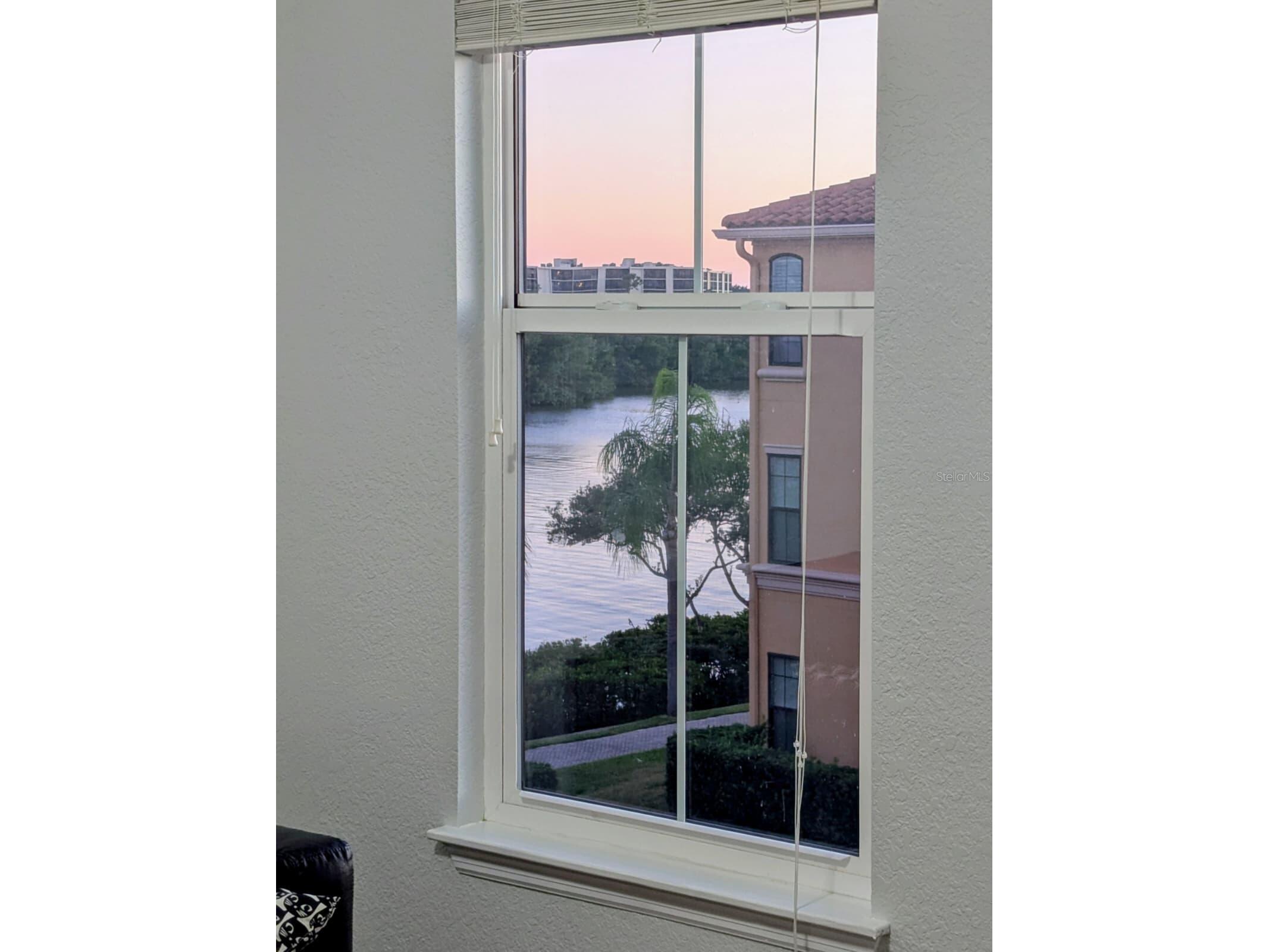 2747 Via Capri #1131 Clearwater FL 33764 O6357978 image10