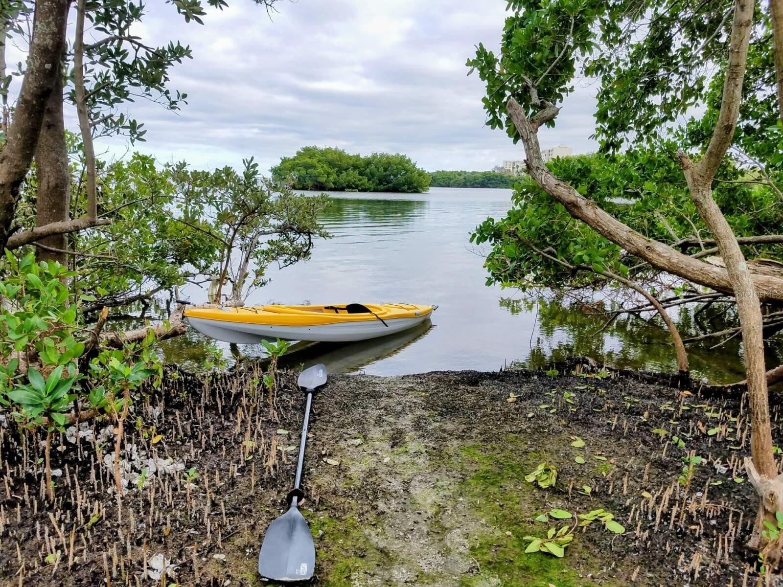 2747 Via Capri #1131 Clearwater FL 33764 O6357978 image16