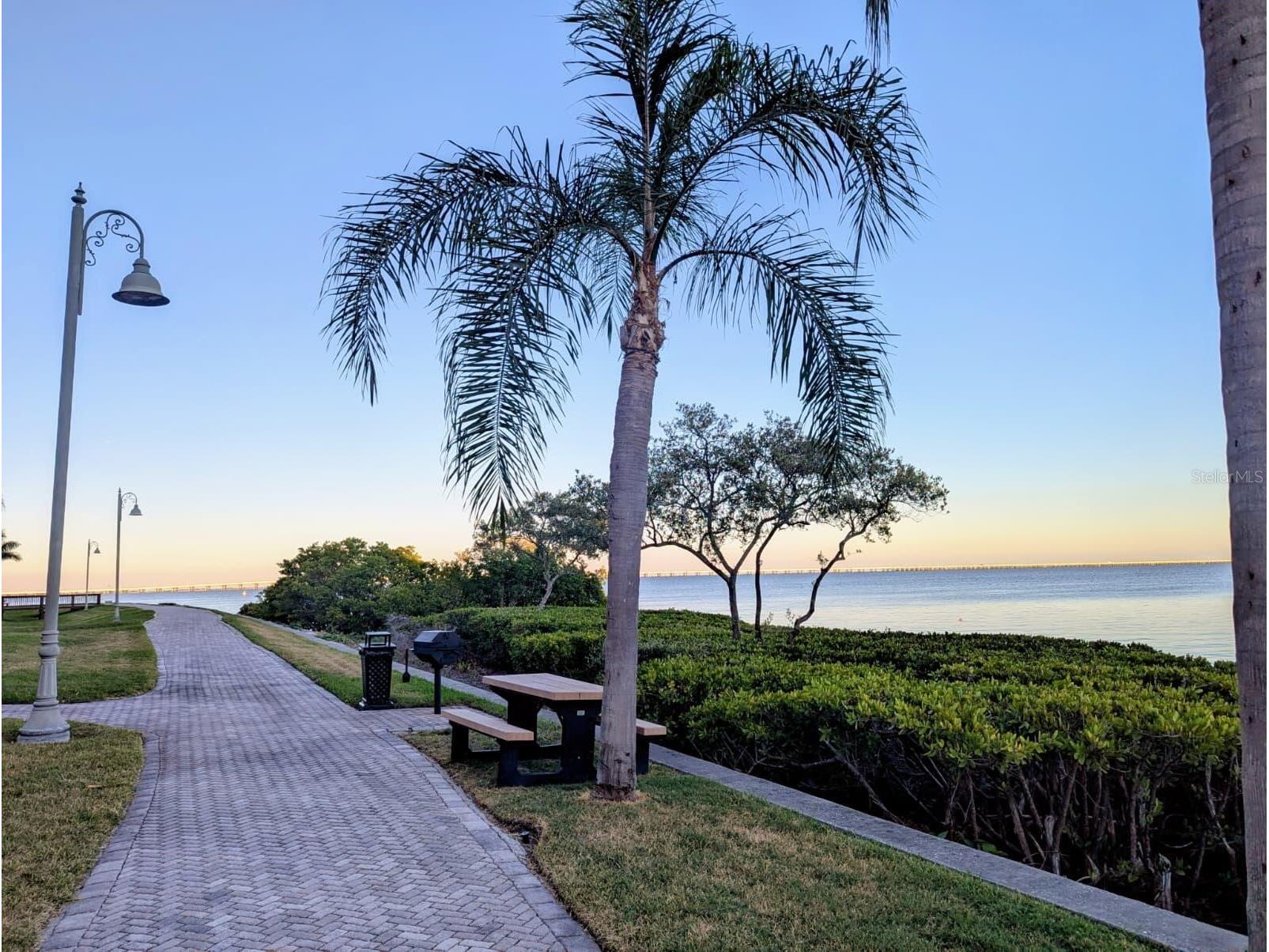 2747 Via Capri #1131 Clearwater FL 33764 O6357978 image18