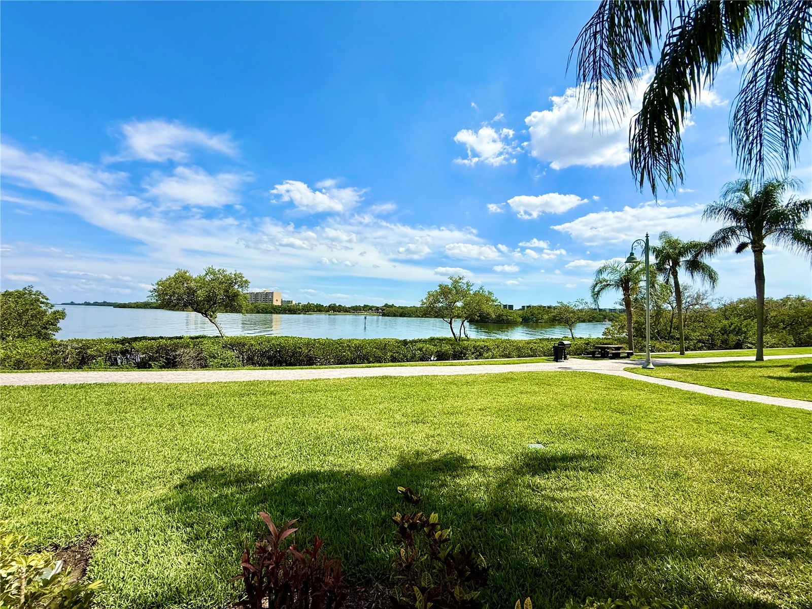 2747 Via Capri #1126 Clearwater FL 33764 O6405553 image25