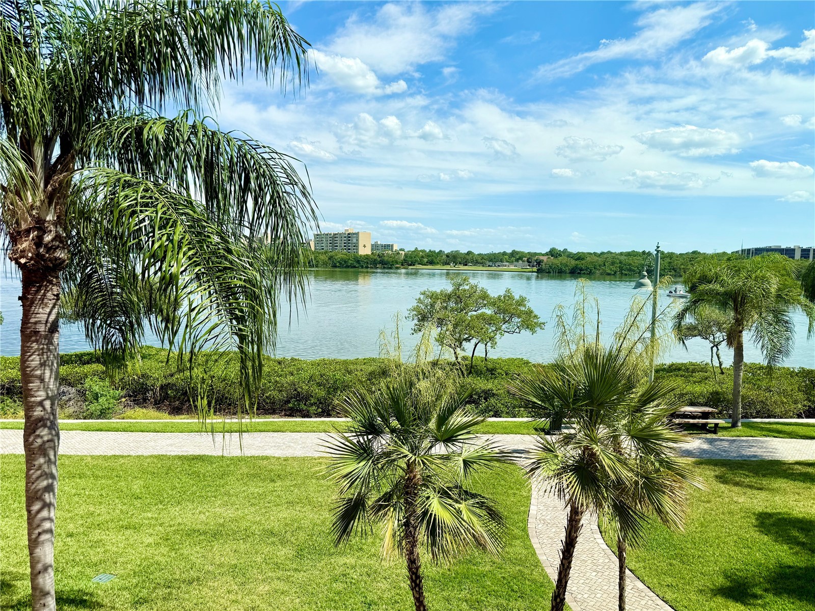 2747 Via Capri #1126 Clearwater FL 33764 O6405553 image26