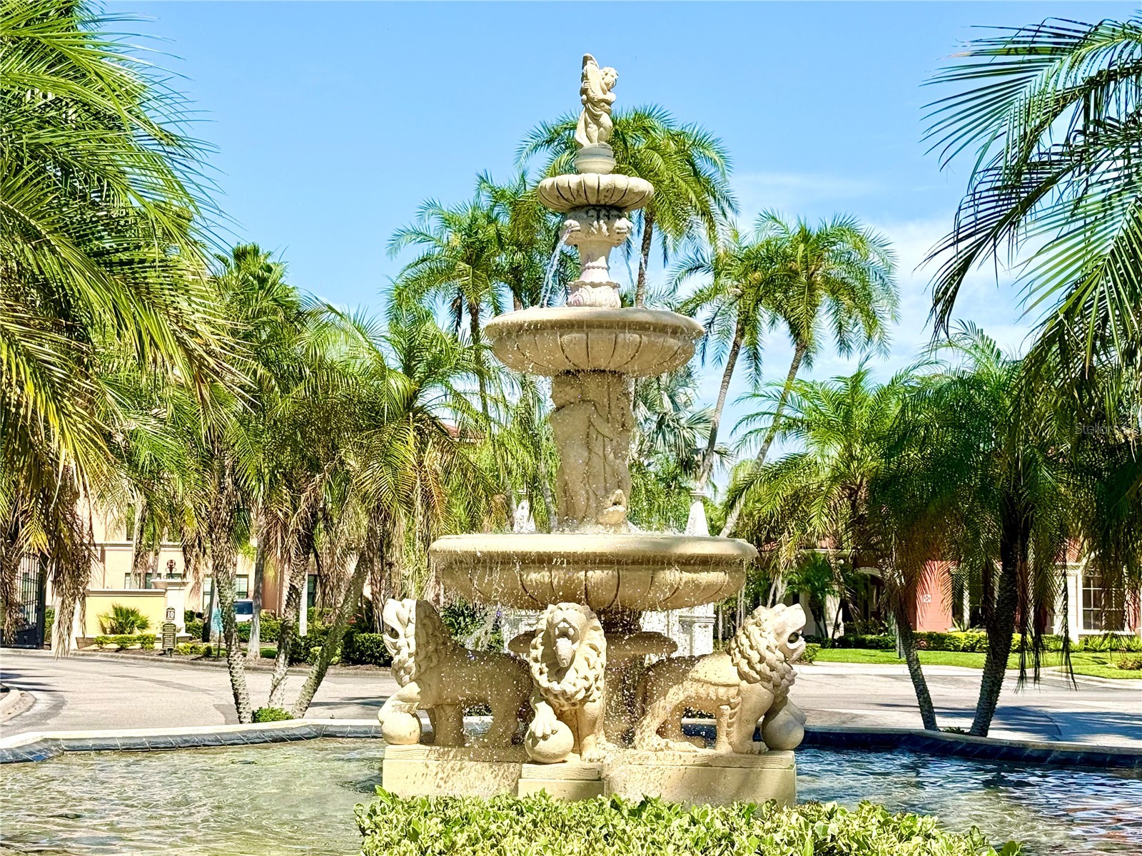 2747 Via Capri #1126 Clearwater FL 33764 O6405553 image37