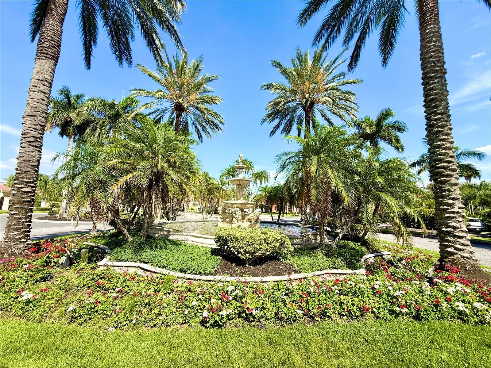 2747 Via Capri #1126 Clearwater FL 33764 O6405553 image46