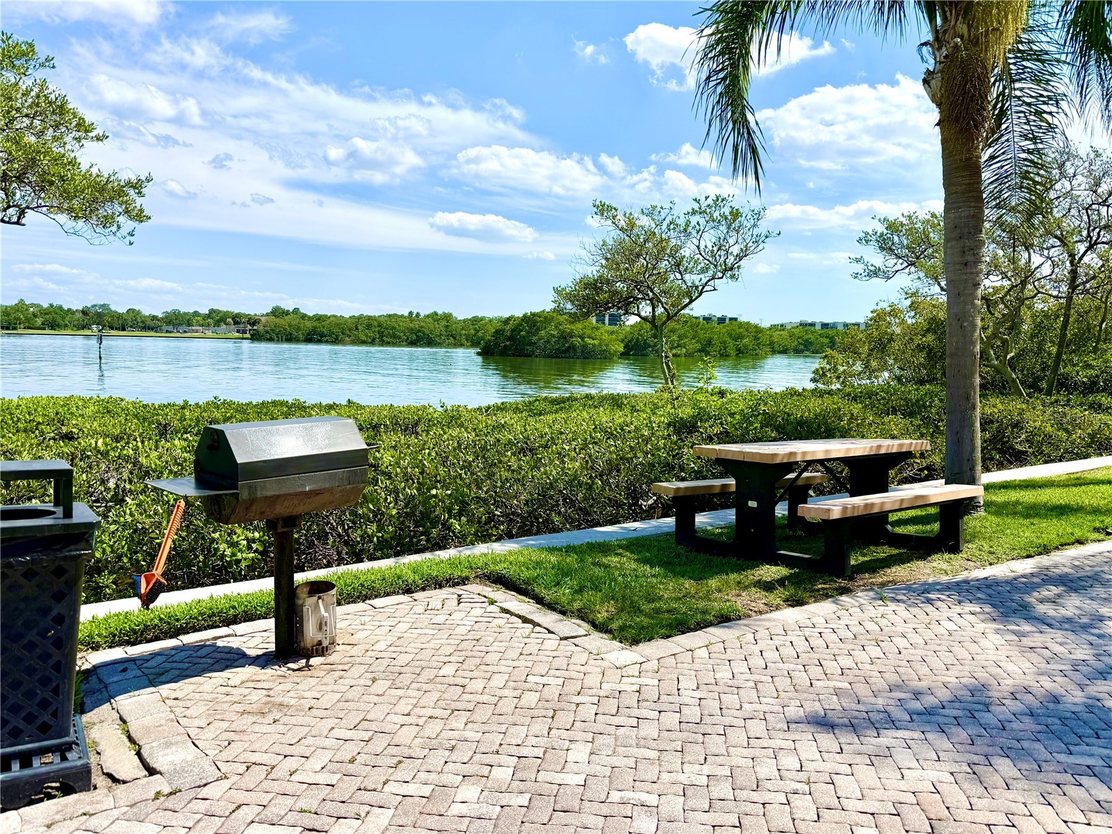 2747 Via Capri #1126 Clearwater FL 33764 O6405553 image47