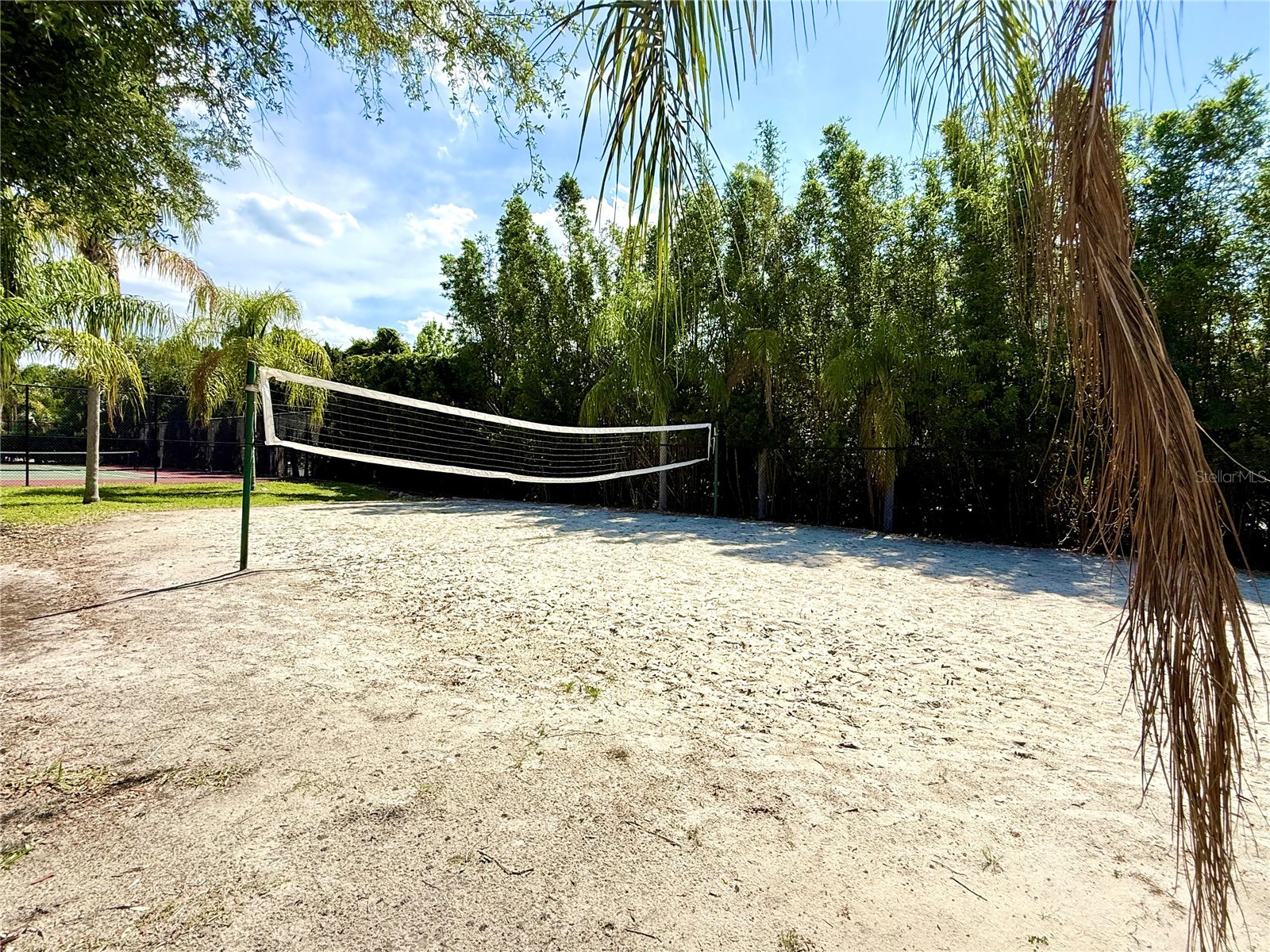 2747 Via Capri #1126 Clearwater FL 33764 O6405553 image49
