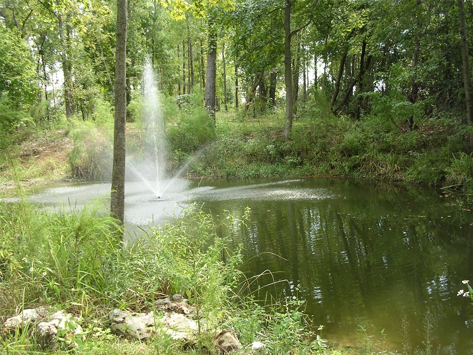27471 NW 173rd Terrace Alachua FL 32615 GC537361 image36