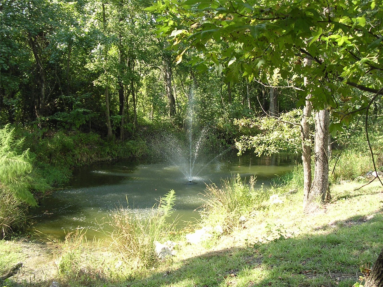 27471 NW 173rd Terrace Alachua FL 32615 GC537361 image37