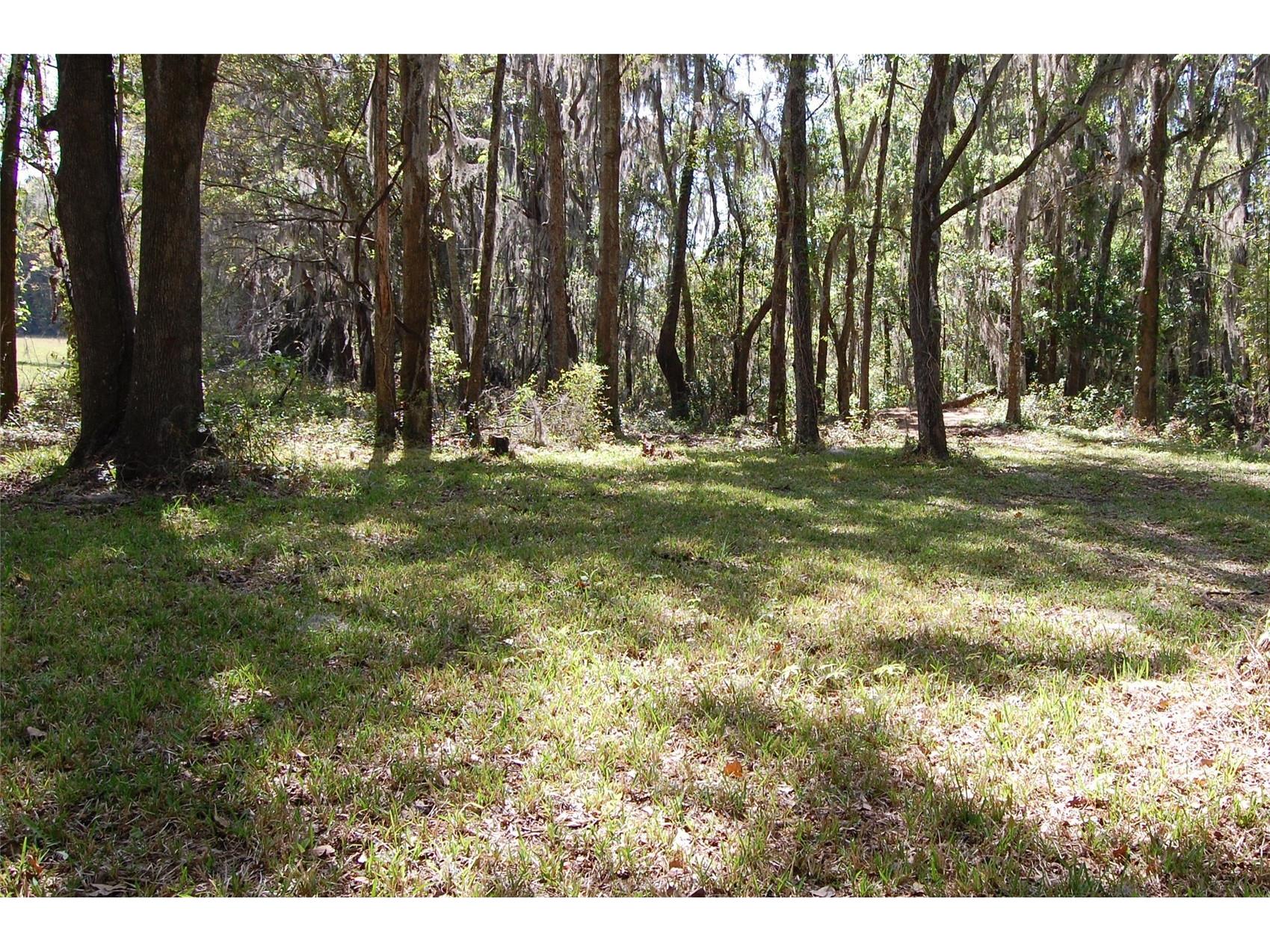 27471 NW 173rd Terrace Alachua FL 32615 GC537361 image43
