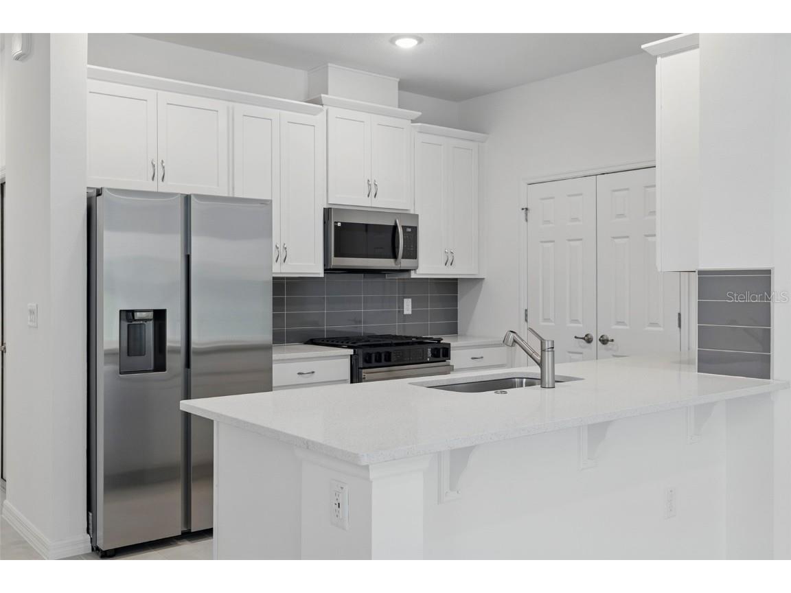 27476 Black Kite Avenue Howey In The Hills FL 34737 O6327244 image3