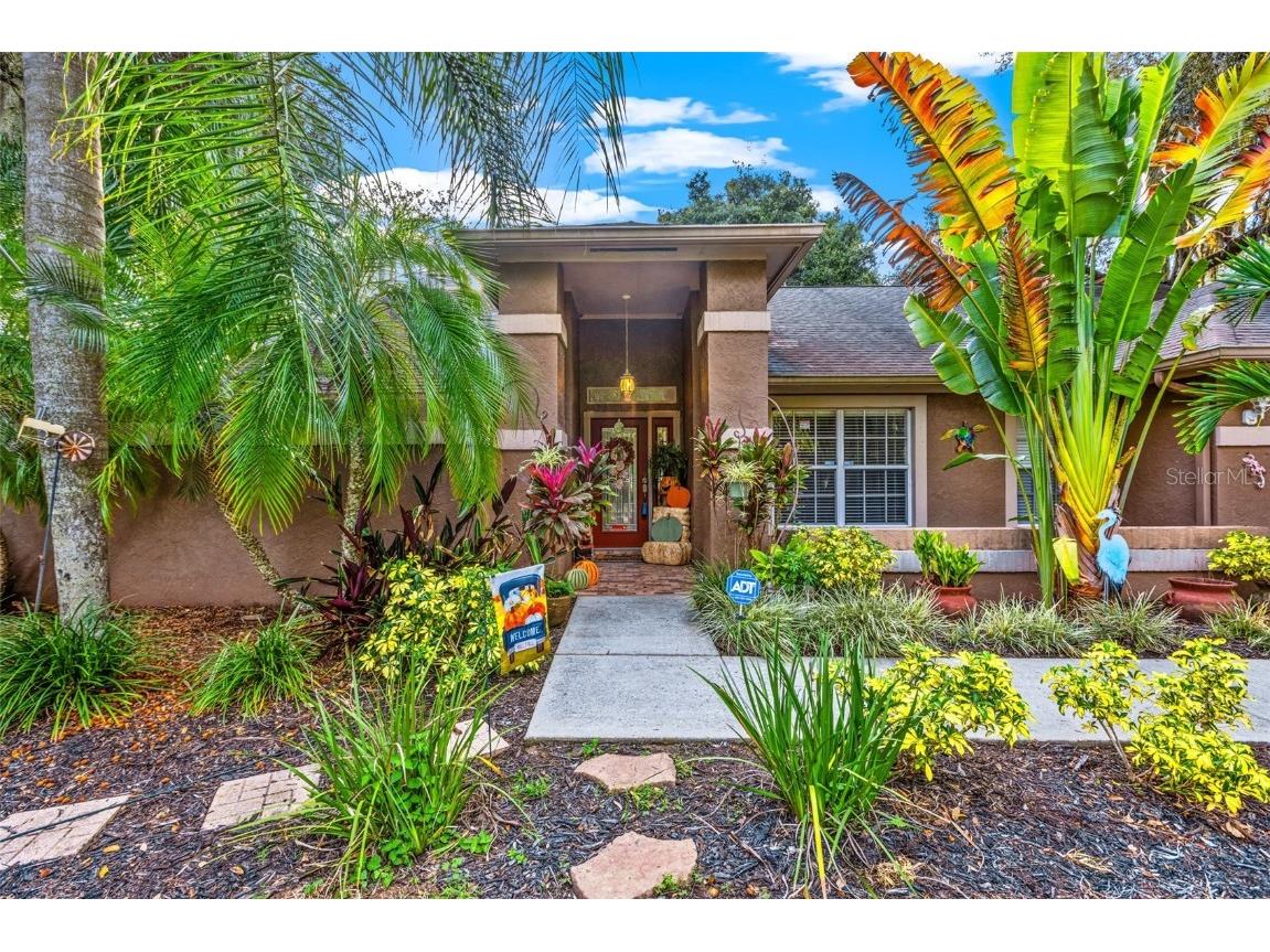 2748 Buckhorn Oaks Drive Valrico FL 33594 T3333313 image1