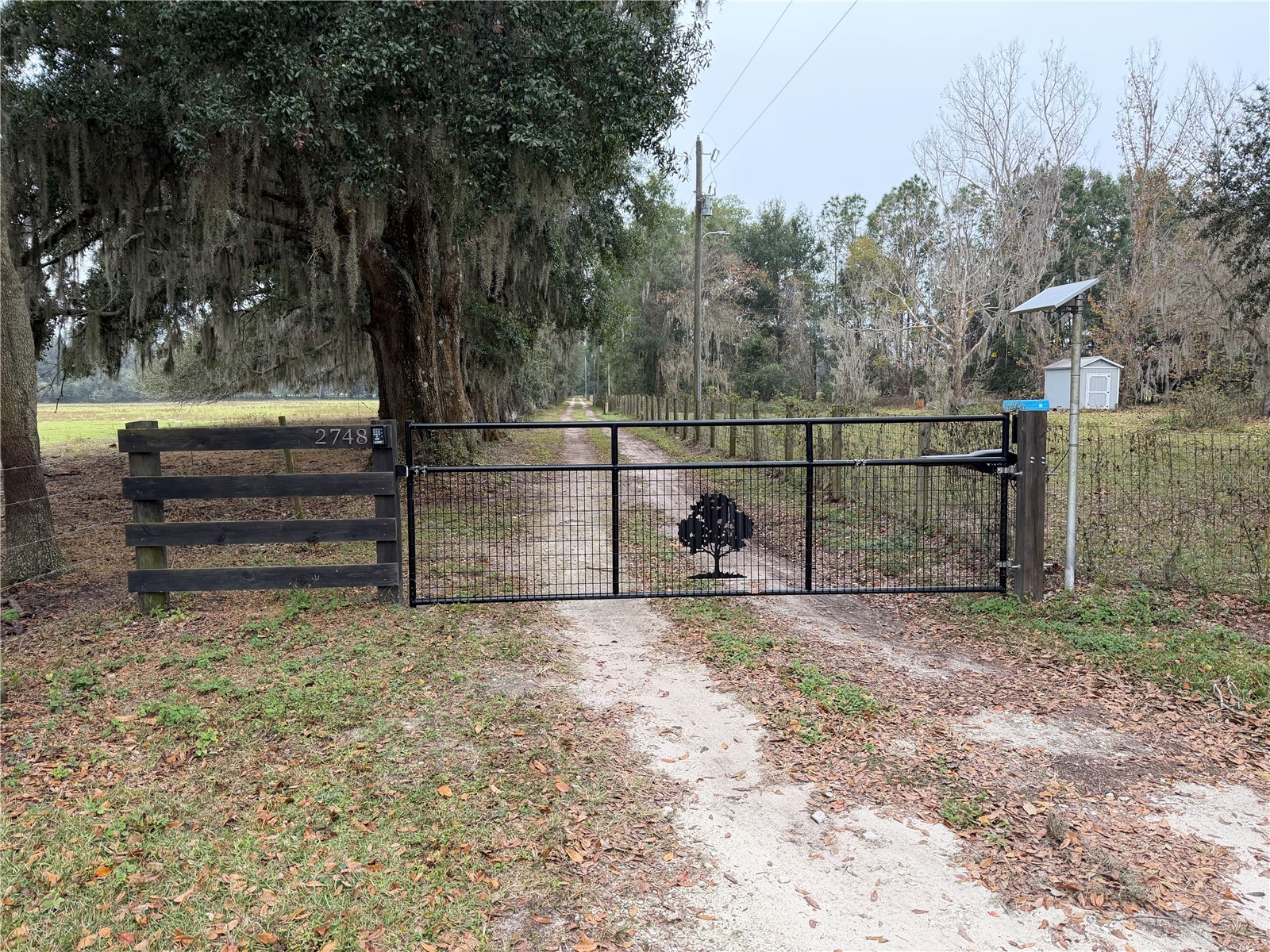 2748 Cr 543 Sumterville FL 33585 A4693333 image9